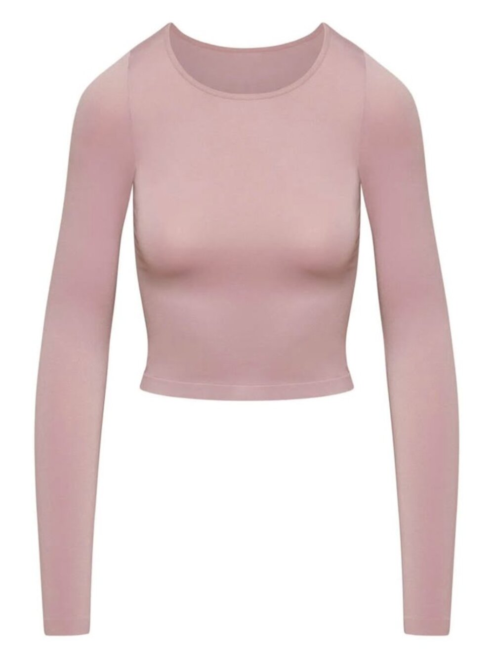 Aritzia Babaton contour longsleeve